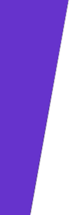 bordure-estiam.png